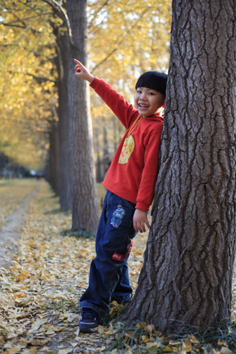 陈隆赫图片,陈隆赫资料,陈隆赫档案