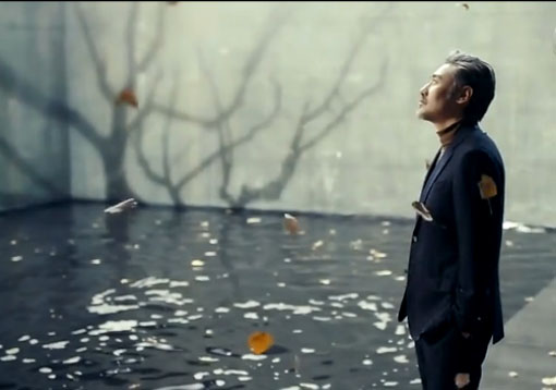 吴秀波 南洋迪克家居广告片